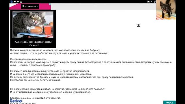 Кот с бездонным желудком! Дневник кота плинтуса смотреть онлайн