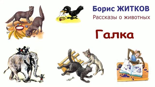 "Галка" (автор Борис Житков) - Рассказы о животных - Слушать