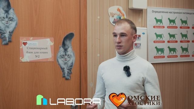 После увиденного, нереально оставаться равнодушным. Омский приют для животных 