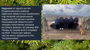 Николаев 8 февраля 2025 года (новости)