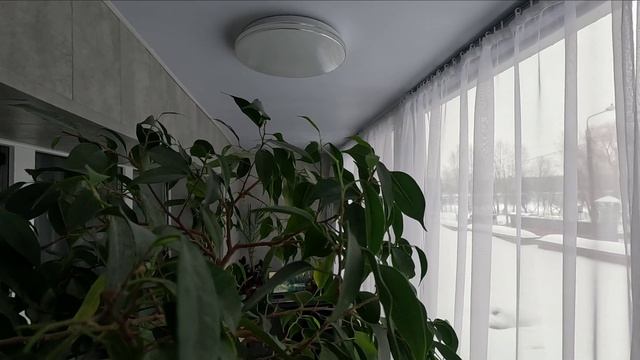 Утеплённая лоджия. Утепление и бюджетная отделка лоджии.