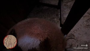 Амулет из панциря черепахи за Артура, во 2 главе в Нью Остин с выходом за карту #rdr2 #arthurmorgan