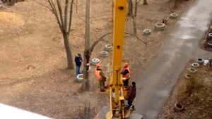 Как в нашем дворе тополя "спилили" )))