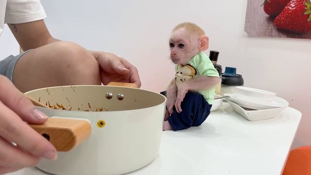 Baby Monkey Jic Jic was cooked a braised pork dish by its Dad to eat. смотреть онлайн