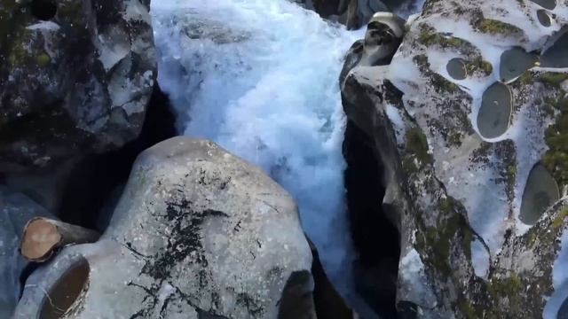 Australia trip day 31: Kea bird destroyed our car :) смотреть онлайн