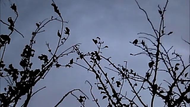 Осень 2013 смотреть онлайн