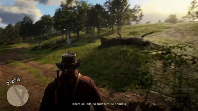 Red Dead Redemption 2|Arthur Morgan Rescues a Zebra-Favors Mission Gameplay Xbox Series X смотреть онлайн