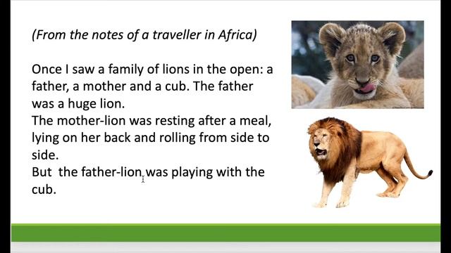 8. The lion смотреть онлайн