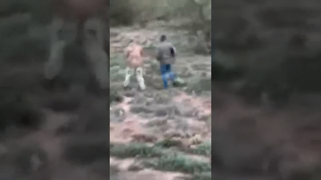 Охота на буйвола смотреть онлайн