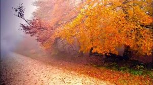 А. Кофанов - Октябрьская грусть