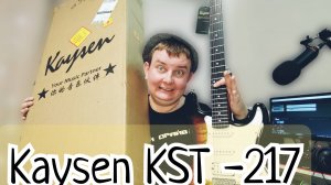 ПЕЧЁНАЯ НОВИНКА  / KAYSEN KST-217 /  ТИГРОВЫЙ FAT Strat