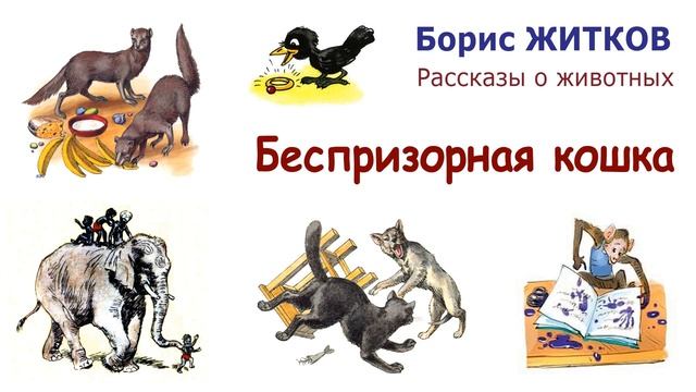 "Беспризорная кошка" (автор Борис Житков) - Рассказы о животных - Слушать