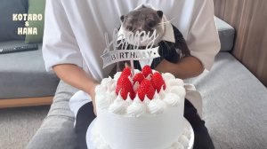 Потрясающая вечеринка в честь дня рождения выдры Котаро с суши-поездом!