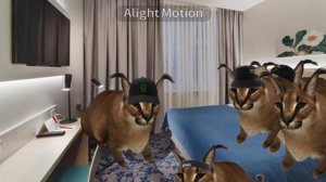 Сериал про Шлёпу "Сбежавший" 2 Сезон 10 Серия