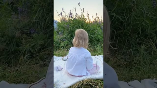 Как и где провести красивую семейную фотосессию. Семейная фотосессия в люпинах.
