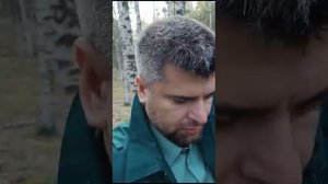 Грибы по лесу