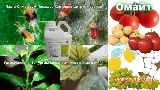 Омайт