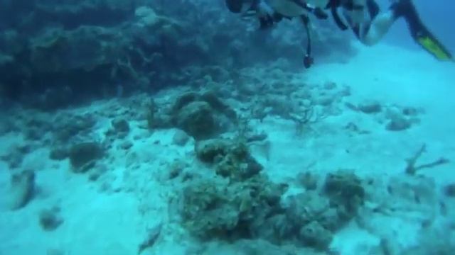 Living Cayman смотреть онлайн