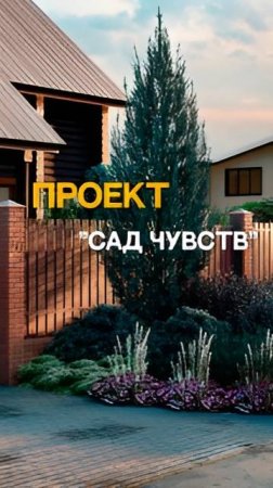 Проект Сад чувств