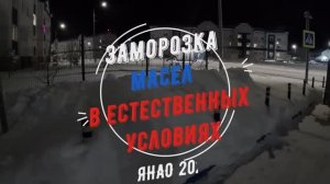 Заморозка автомобильных масел LUKOIL, EAGLE, ZIC, RAVENOL