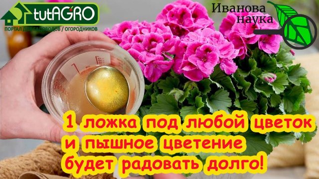 Многообразие и происхождение культурных растений