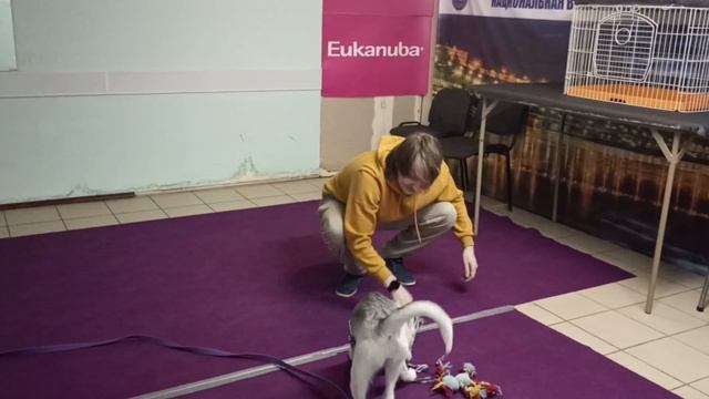 448. Игра с исправлениями ошибок. смотреть онлайн