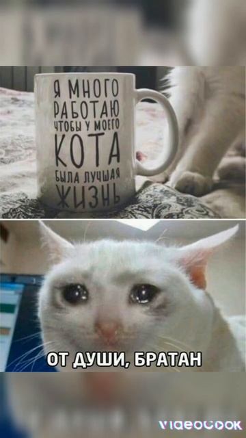 🍵 #pinterest #рекомендации #хочуврек #shortsvideo смотреть онлайн