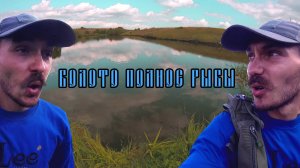 VLOG: БОЛОТО ПОЛНОЕ РЫБЫ
