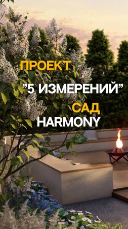 Сал HARMONY