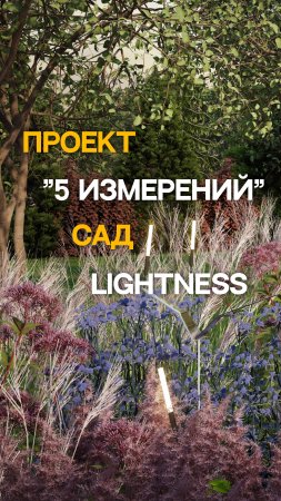 Сад LIGHTNESS