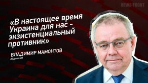 "В настоящее время Украина для нас - экзистенциальный противник" - Владимир Мамонтов