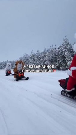 Аниматоры рулят ❄️🌲🎶