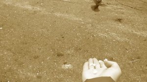 _Сказка о воробушке_ - к дню снятия блокады Ленинграда