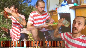 VLOG: ВЯЛЕНЫЙ МИКРО ТОМАТ