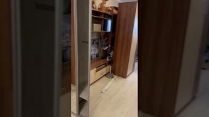 Шкаф-купе зеркальный с мини профилем