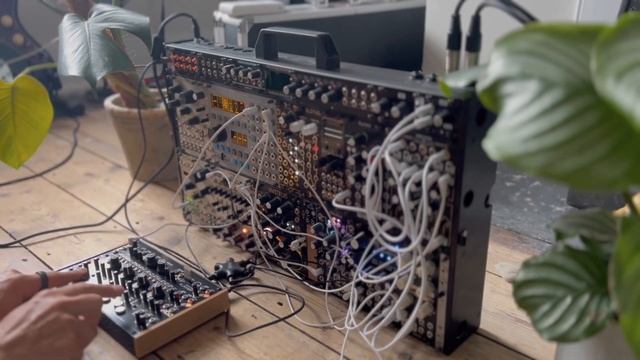 Distorted ambient jam // ER-301 // Aurora // Elmyra 2 // Dradd // Sealegs // Data Bender смотреть онлайн