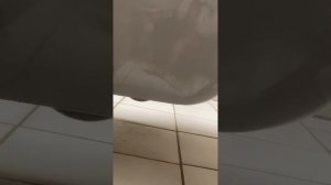 Биде слив замена 1