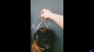 кайф да ага