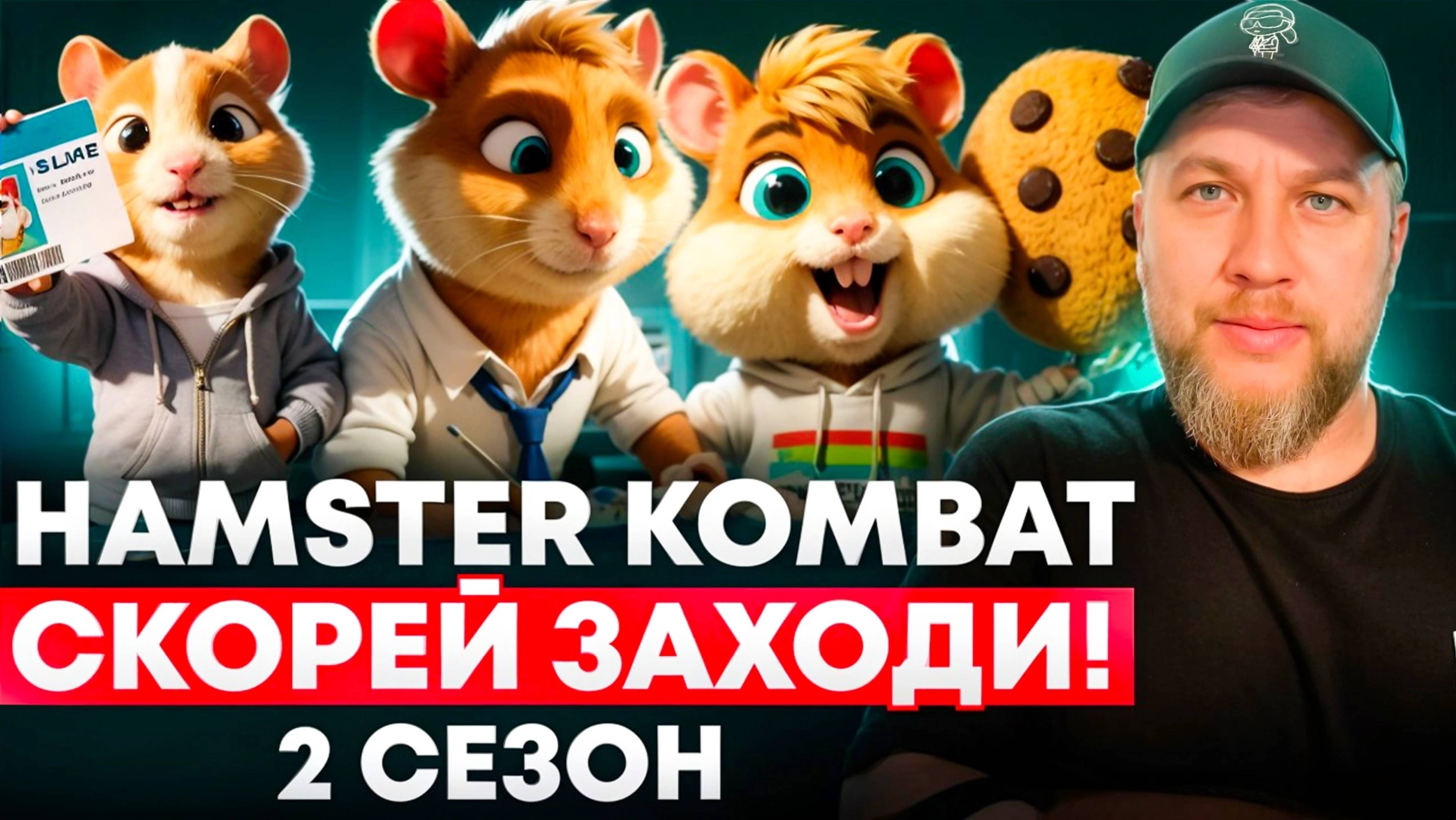 Ddnet hamster combat