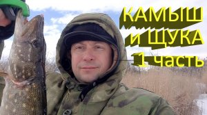 🔥 Поставил ЖЕРЛИЦЫ под КАМЫШ (часть 1). Найду я там щуку в глухозимье? Экспериментальная рыбалка🔥