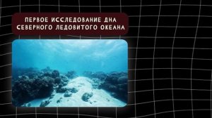 Видеоанонс темы от Евгения Егорова разговоры о важном 10 февраля 2025 Арктика - территория развития