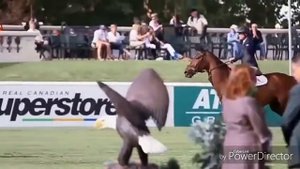 Красивый клип про лошадей