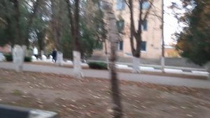 Сальск 10 ноября . 2024