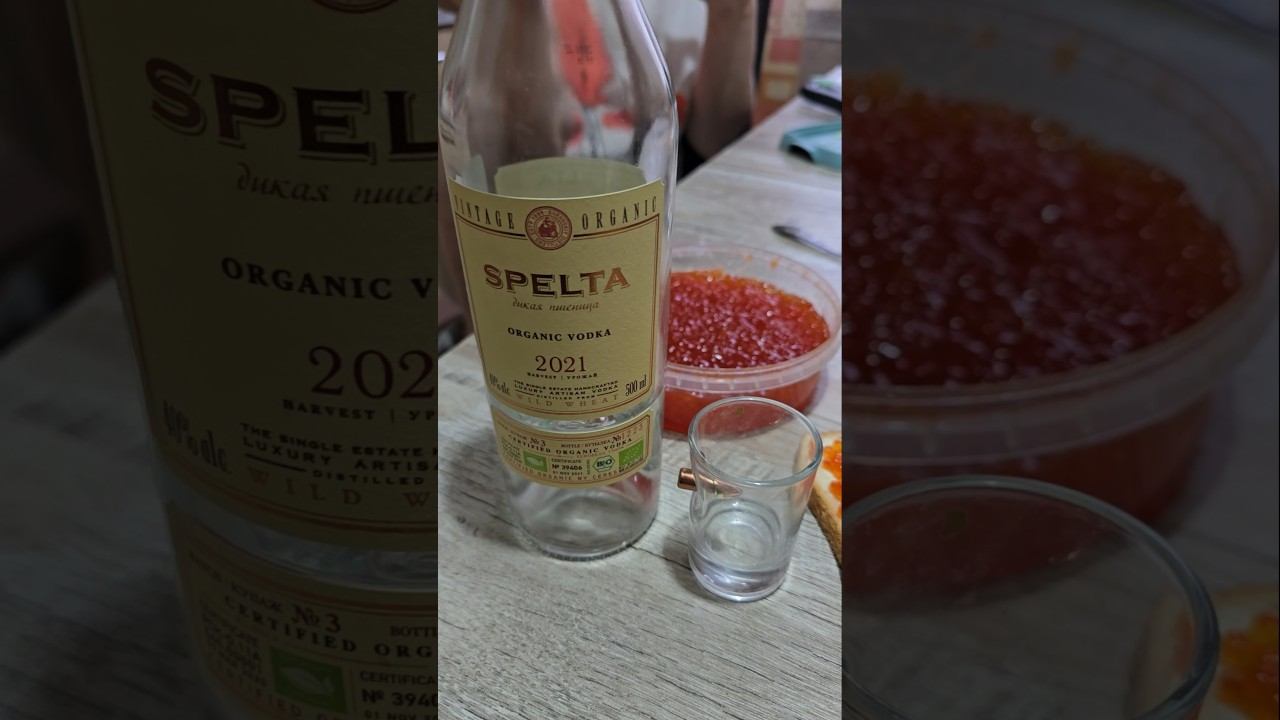 Всех с наступающим новым годом!! #новыйгод #2025 смотреть онлайн