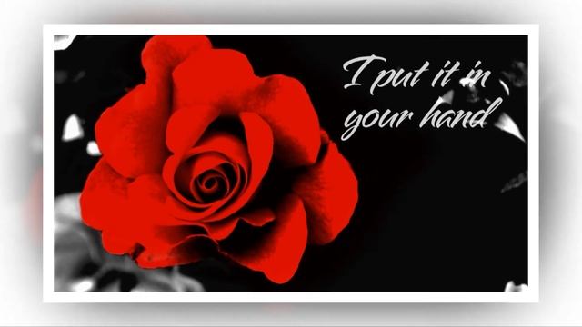 The Color Of The Night Little Koala смотреть онлайн