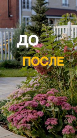До - После