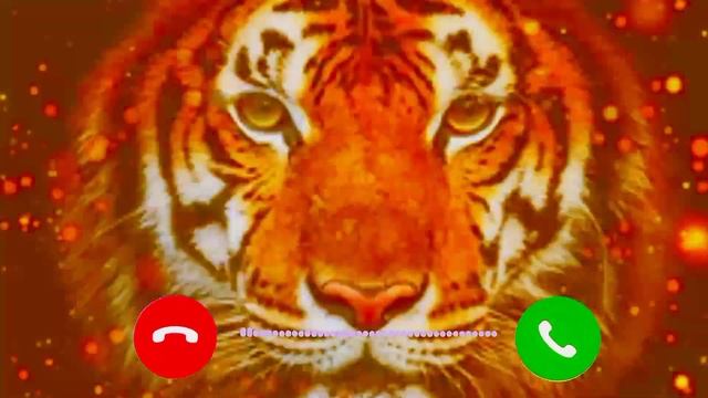 HYDERABADI TIGER TRACK / RINGTONE LINK IN DESCRIPTION 👇 смотреть онлайн