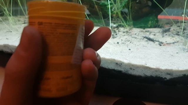 Sera Vipan Akvaryum Balık Yemi смотреть онлайн