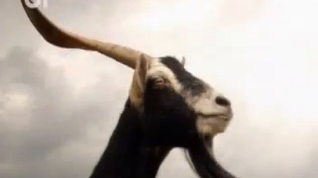 Capricorn Urania 06 - 13 Dec смотреть онлайн