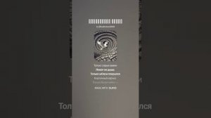 Соловецкая чайка (песня на стихи Анатолия Жигулина)